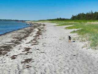 Vakantieappartement Glowe Omgeving 18