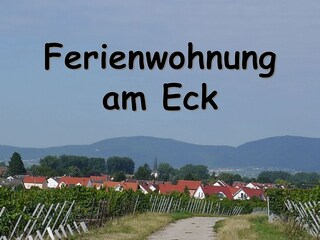 Ferienwohnung Neustadt an der Weinstraße Dokument 22