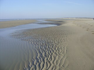 Casa per le vacanze Ouddorp Ambiente 18