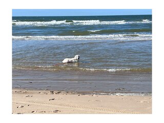 Casa per le vacanze Ouddorp Ambiente 21