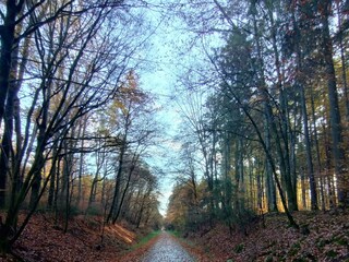 Maare-Mosel Radweg- 55 km geteerte Bahntrasse