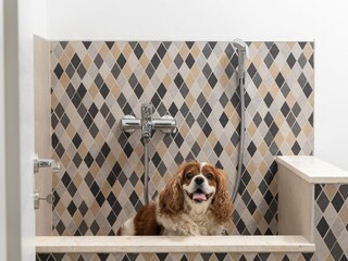 Villa Sinj Ambiente 41