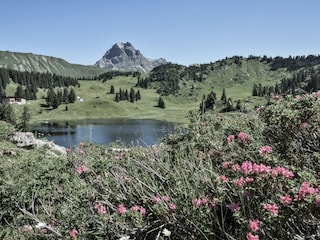 Chalet Schröcken Environment 33