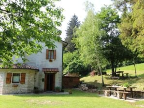 Casa de vacaciones con vista a la montaña en Cison di Valmarino con jardín - Cison di Valmarino - image1