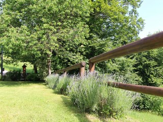 Holiday house Cison di Valmarino Outdoor Recording 3