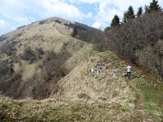 Casa per le vacanze Cison di Valmarino Ambiente 32