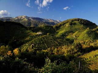 Vakantiehuis Cison di Valmarino Omgeving 35