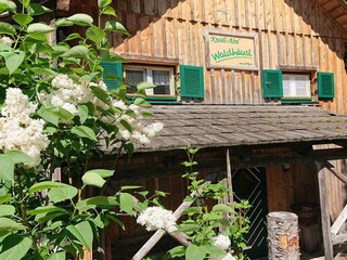 Casa per le vacanze Bad Mitterndorf Registrazione all'aperto 1