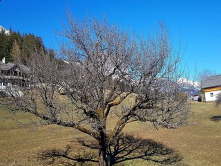 Casa per le vacanze Grundlsee Registrazione all'aperto 11