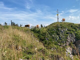Appartamento Bad Mitterndorf Registrazione all'aperto 24
