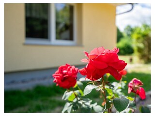 Ferienwohnung Vipperow Außenaufnahme 2