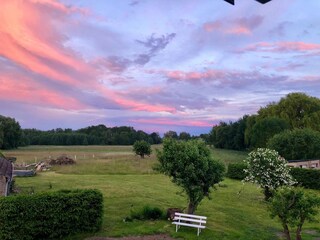 Gartenblick