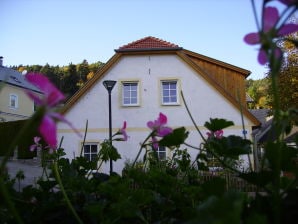 Casa per le vacanze Alla vecchia fucina - Artstetten - image1