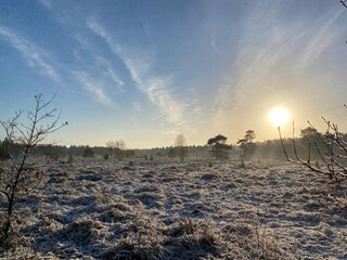 Chalet Uddel Umgebung 25