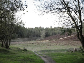 Chalet Uddel Ambiente 36