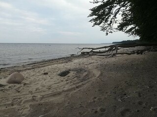 Casa de vacaciones Vaeggerløse  29