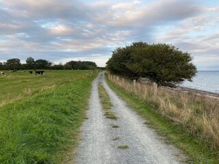 Casa per le vacanze Binderup Strand  28