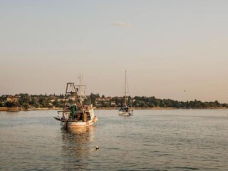 Villa Brtonigla Umgebung 41