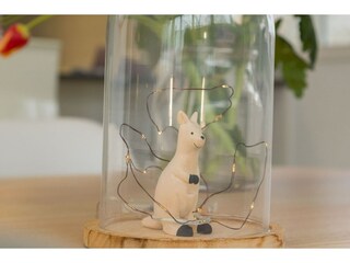 Appartement Vrouwenpolder  46