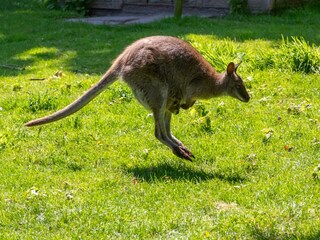 Appartement Vrouwenpolder  35