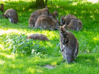 Appartement Vrouwenpolder  51