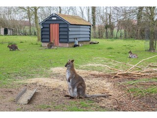 Appartement Vrouwenpolder Omgeving 34