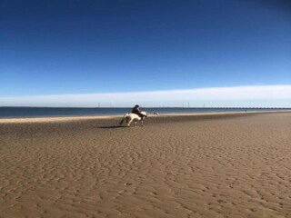 Appartamento Vrouwenpolder Ambiente 23