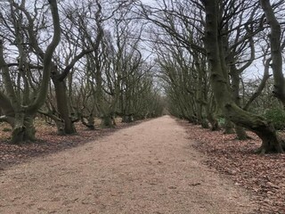 Apartamento Vrouwenpolder Entorno 24