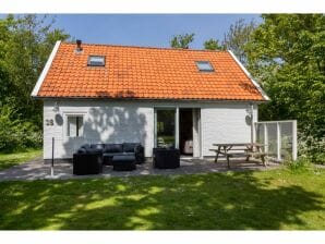 Maison de vacances au milieu d'un paysage de dunes boisées à proximité de la plage - Dishoek - image1