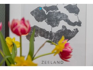 Vakantiehuis Vrouwenpolder  38