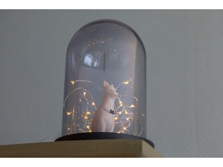 Maison de vacances Vrouwenpolder  40