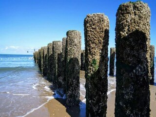Casa per le vacanze Vrouwenpolder Ambiente 32