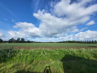 Vakantiehuis Vrouwenpolder Omgeving 36