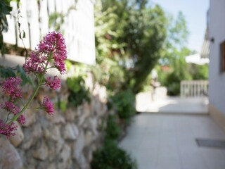 Apartamento Županje  38