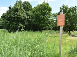 Maison de vacances Ermelo Environnement 16