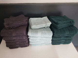 Type de propriété : Ferme Giethoorn  42