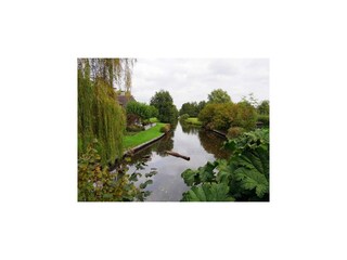 Type de propriété : Ferme Giethoorn  44