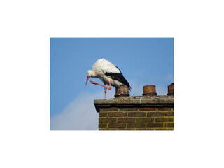 Fattoria Giethoorn  45