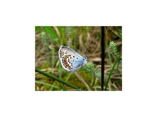 Fattoria Giethoorn  52