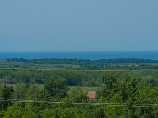 Villa Brtonigla Außenaufnahme 10