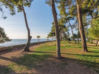 Ferienhaus Novigrad (Istrien) Umgebung 23