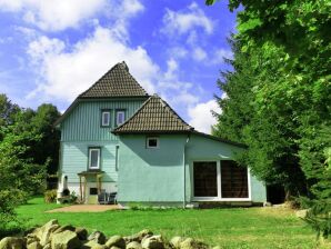 Vakantiehuis Luxe vakantiewoning in de Harz in het kuuroord Elend met eigen overdekt zwembad en sauna - mis - image1