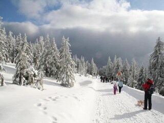 Ferienhaus Elend Umgebung 27