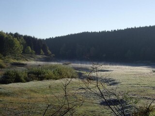 Vakantiehuis Elend Omgeving 36