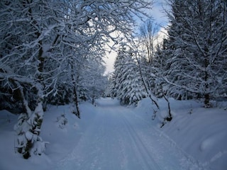 Casa de vacaciones Elend Entorno 36