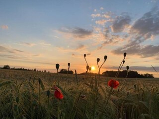 Appartement Weißig Environnement 40