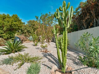 Holiday house Porticcio Outdoor Recording 12