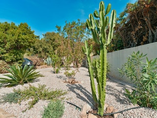 Ferienhaus Porticcio Außenaufnahme 20