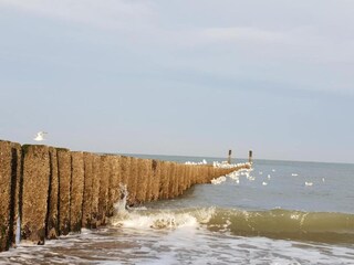 Chalet Oostkapelle Umgebung 19