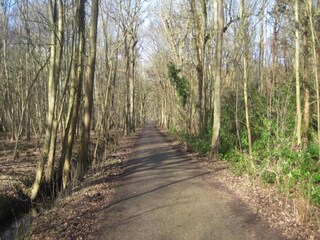 Chalet Oostkapelle Ambiente 16